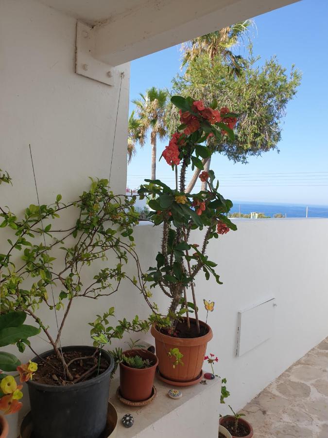 Ikaria Village-Ground Floor Apartment No 4 Klorakas エクステリア 写真