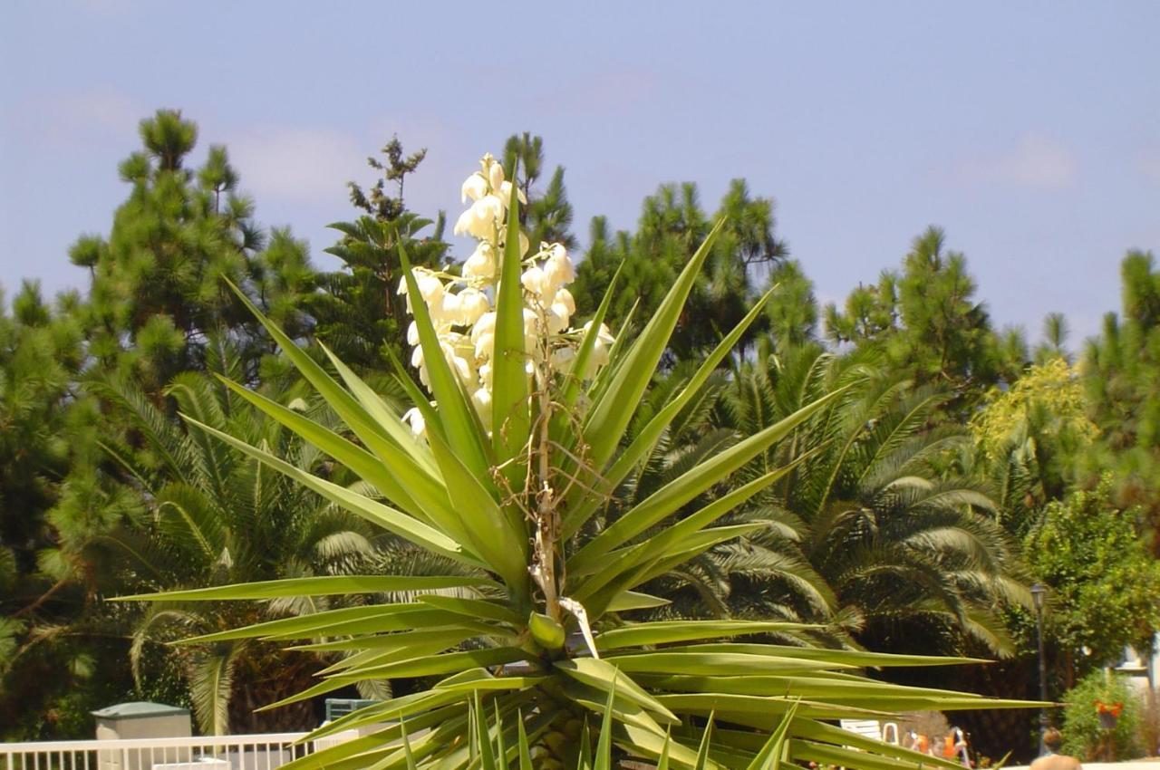 Ikaria Village-Ground Floor Apartment No 4 Klorakas エクステリア 写真